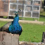 Na Samotě - U Tesařů