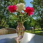 Apartamento Na Samotě - U Tesařů *