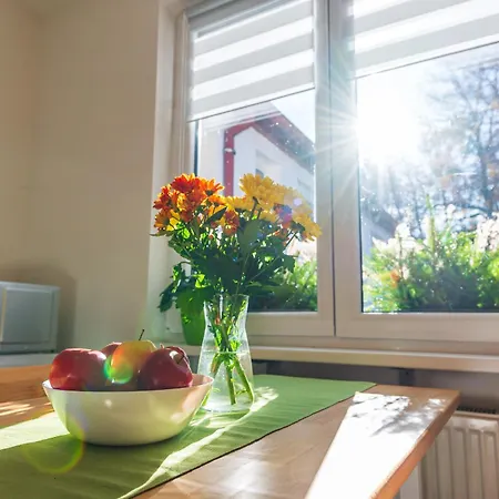Apartment Na Samote - U Tesaru *